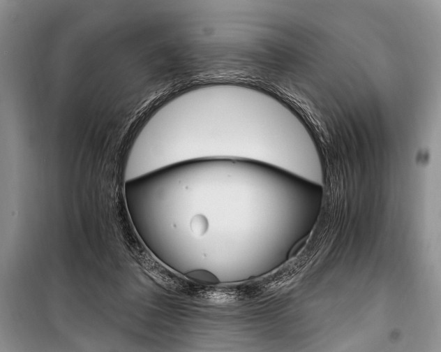 X0000101110308200806261115