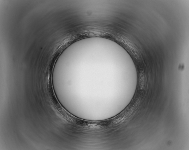 X0000101110310200806261115