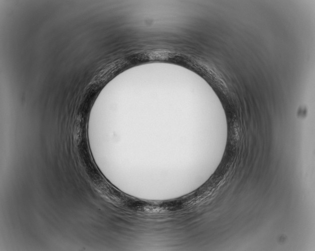 X0000101110311200806261115
