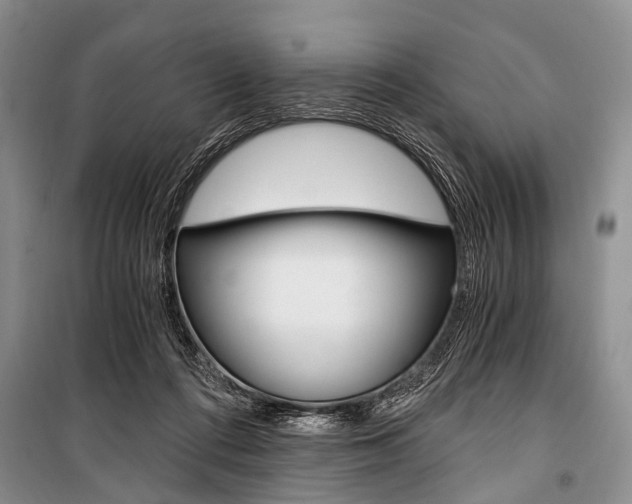 X0000101110312200806261115
