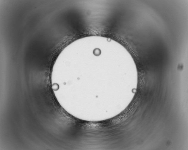 X0000101110313200806261115