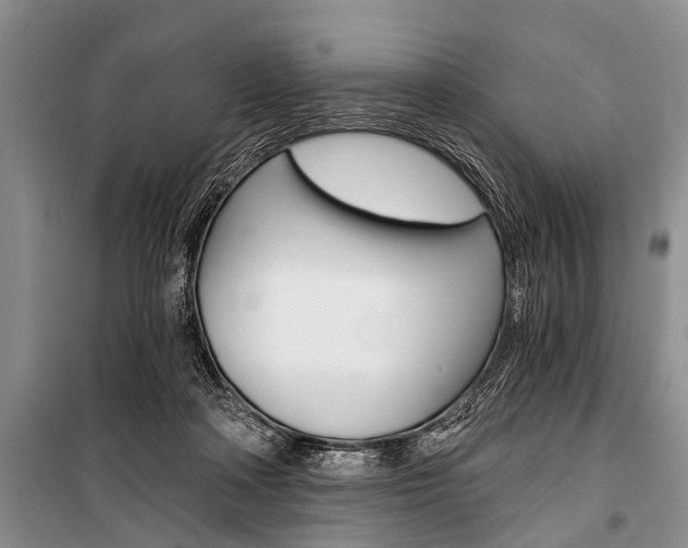 X0000101110314200806261115