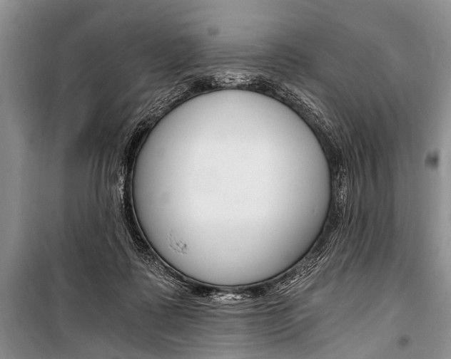 X0000101110315200806261115