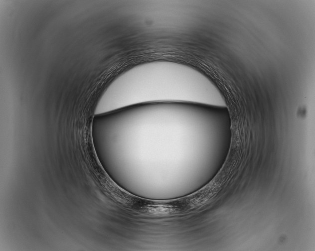 X0000101110316200806261115