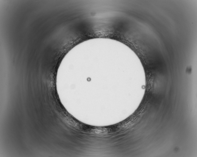 X0000101110317200806261115