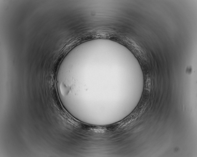 X0000101110318200806261115