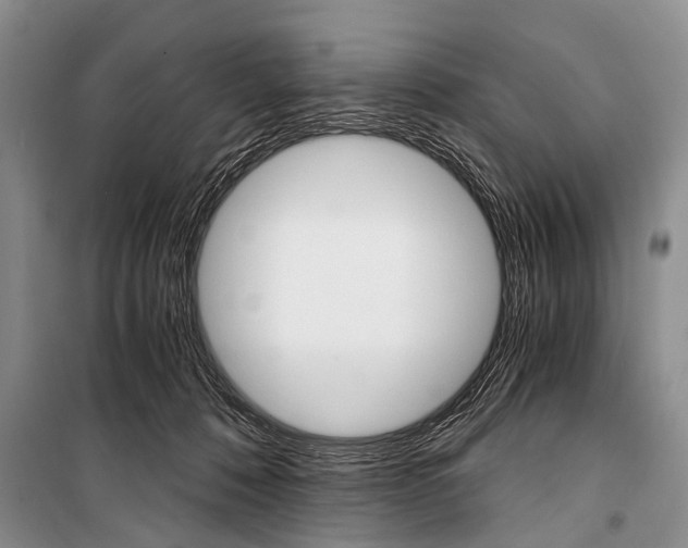 X0000101110320200806261115