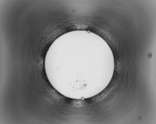 X0000101110321200806261115