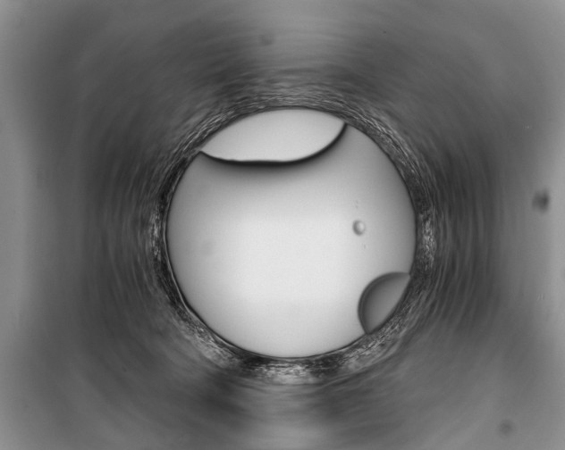 X0000101110322200806261115