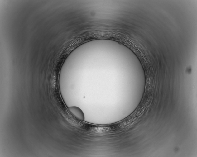 X0000101110323200806261115