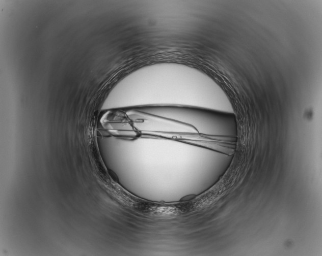 X0000101110324200806261115