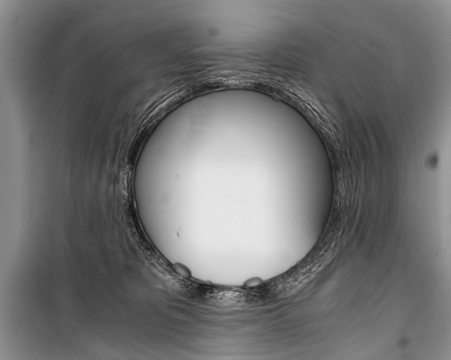 X0000101110325200806261115