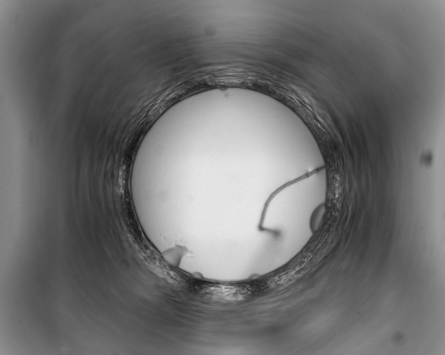 X0000101110326200806261115