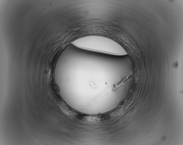 X0000101110327200806261115
