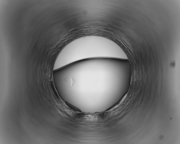 X0000101110328200806261115
