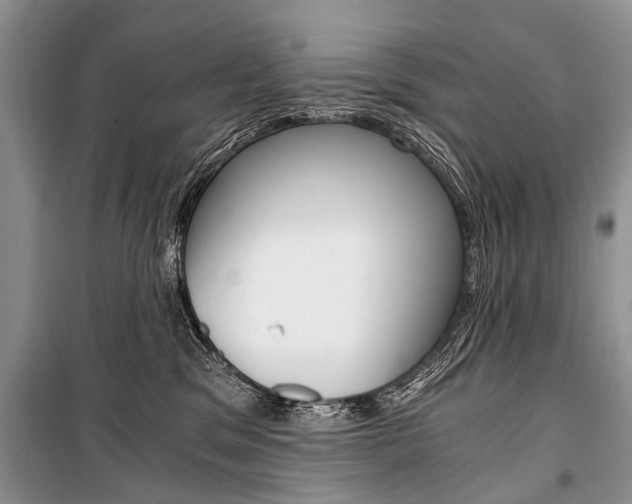 X0000101110329200806261115