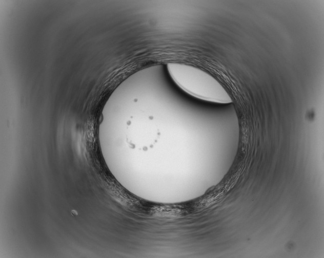 X0000101110331200806261115