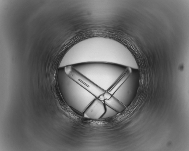X0000101110332200806261115