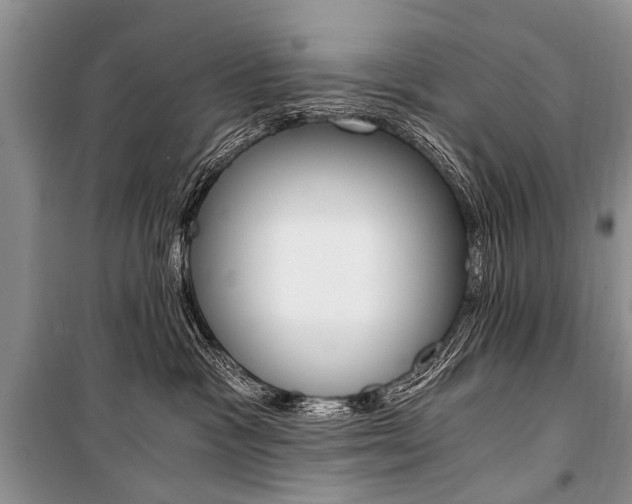 X0000101110333200806261115