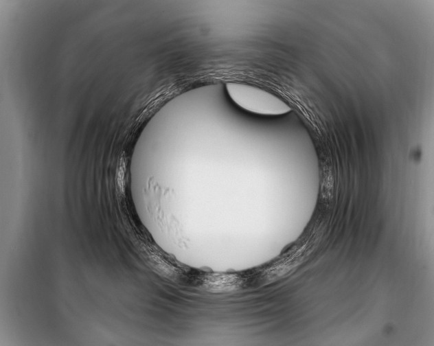 X0000101110334200806261115
