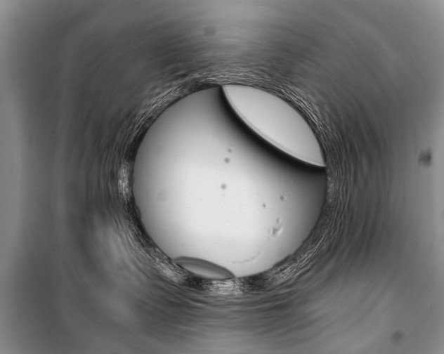 X0000101110335200806261115