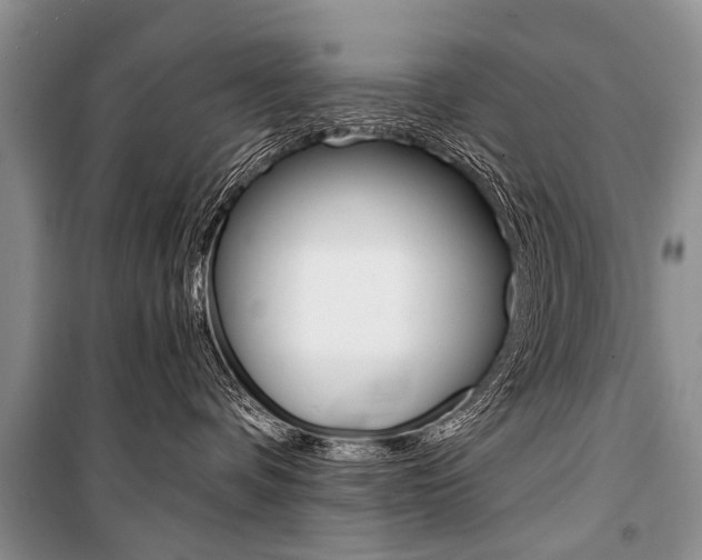 X0000101110336200806261115
