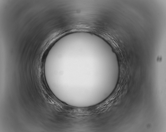 X0000101110338200806261114