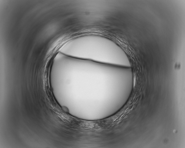 X0000101110339200806261114