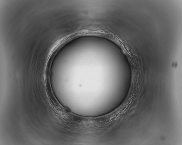 X0000101110340200806261114