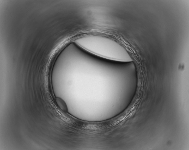 X0000101110341200806261114