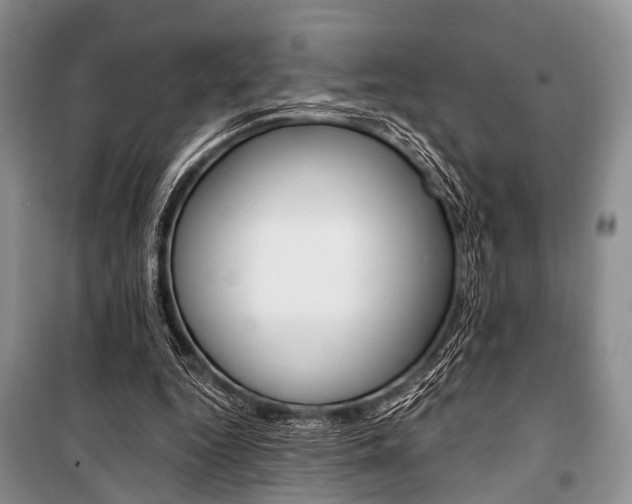 X0000101110344200806261114