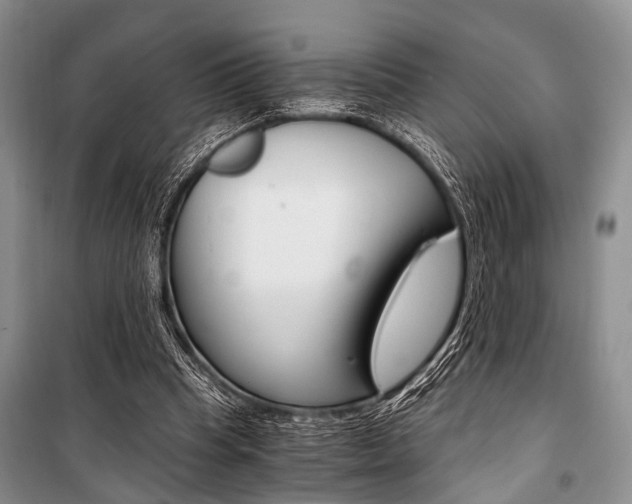 X0000101110345200806261114