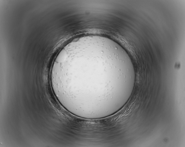 X0000101110347200806261114