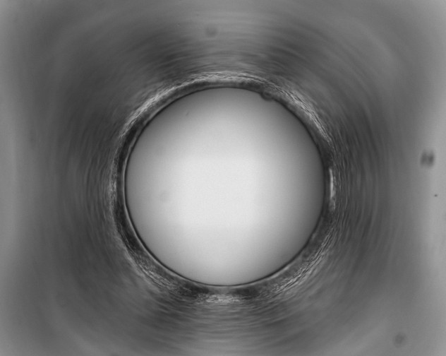 X0000101110348200806261114