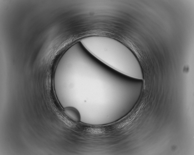X0000101110349200806261114