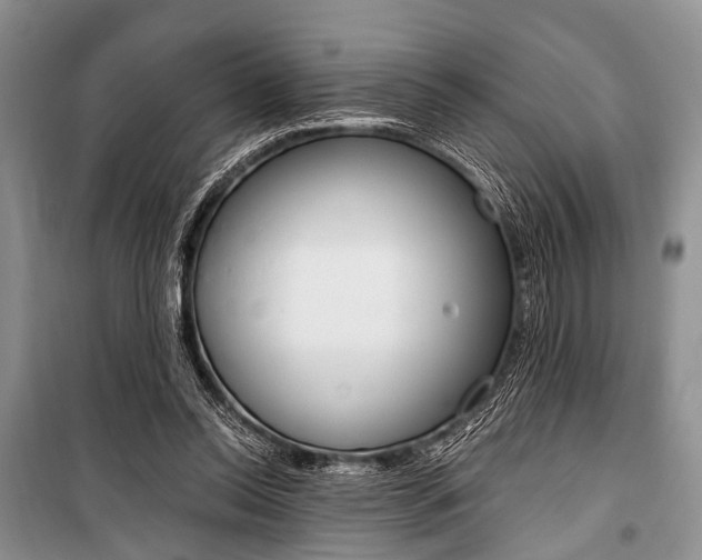 X0000101110350200806261114