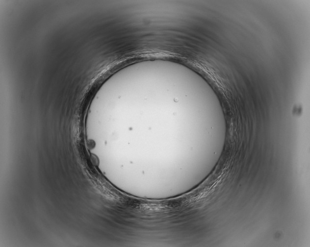 X0000101110351200806261114