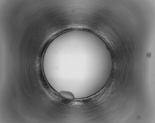 X0000101110352200806261114
