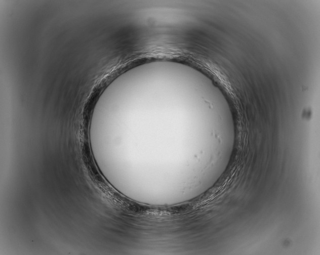 X0000101110354200806261114