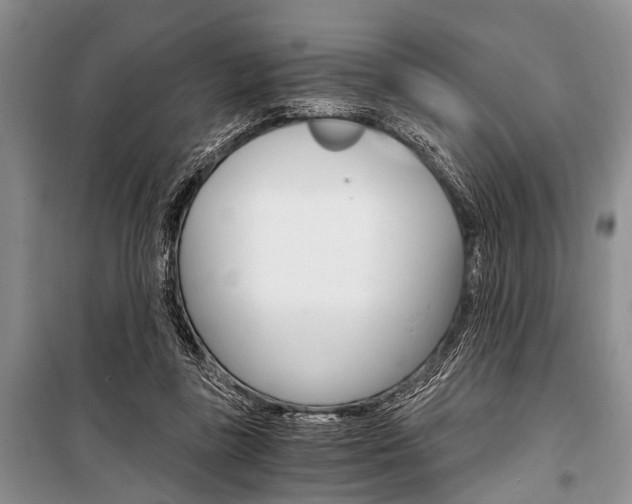 X0000101110355200806261114