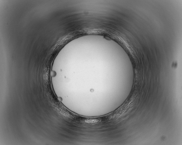 X0000101110357200806261114