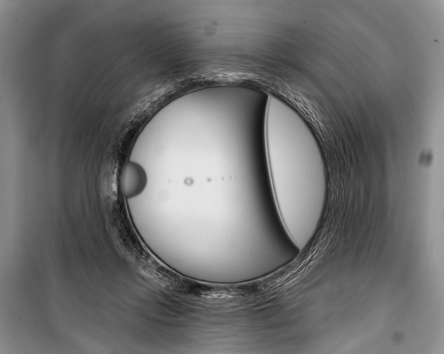 X0000101110358200806261114