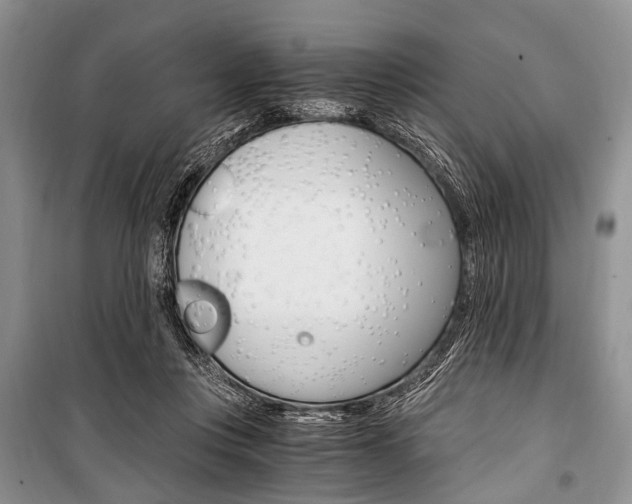 X0000101110359200806261114