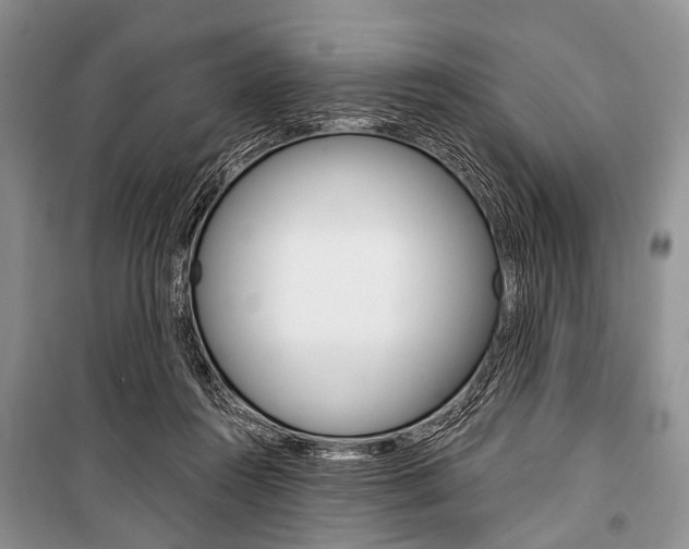 X0000101110360200806261114