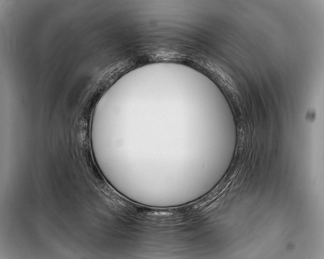 X0000101110361200806261114