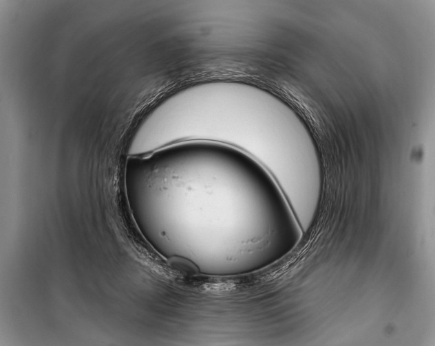 X0000101110362200806261114