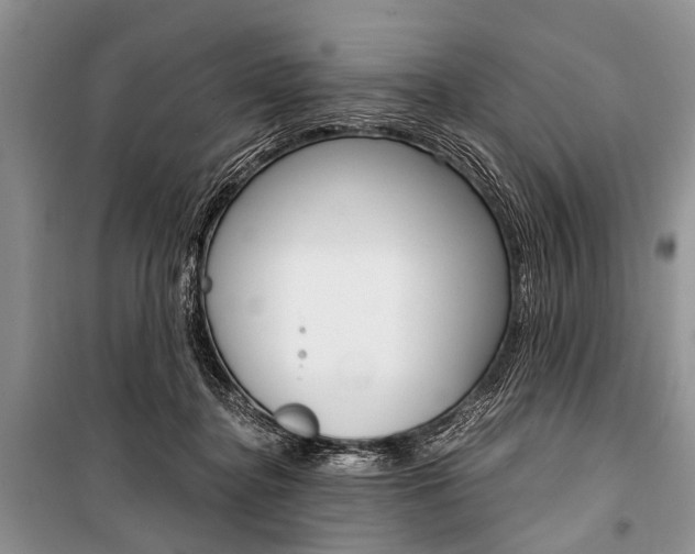 X0000101110364200806261114