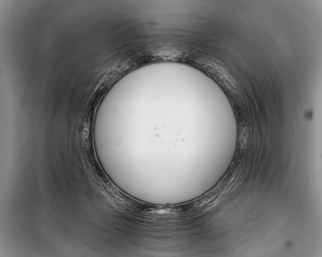 X0000101110365200806261114