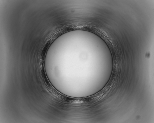 X0000101110366200806261114