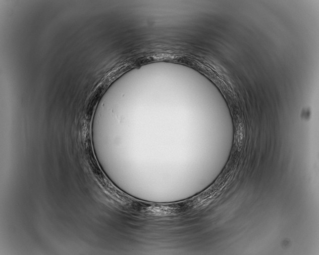 X0000101110367200806261114